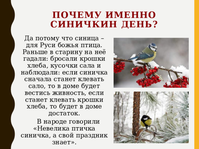 Синичкин день конспект. 12 Ноября Синичкин день день встречи зимующих птиц. Почему именно Синичкин день. Синичкин день на Руси. Синичкин день в старину.