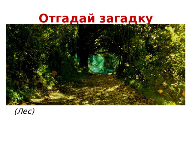 Отгадай загадку Дом со всех сторон открыт, Он резною крышей крыт, Заходи в зелёный дом, Чудеса увидишь в нем.   (Лес) 