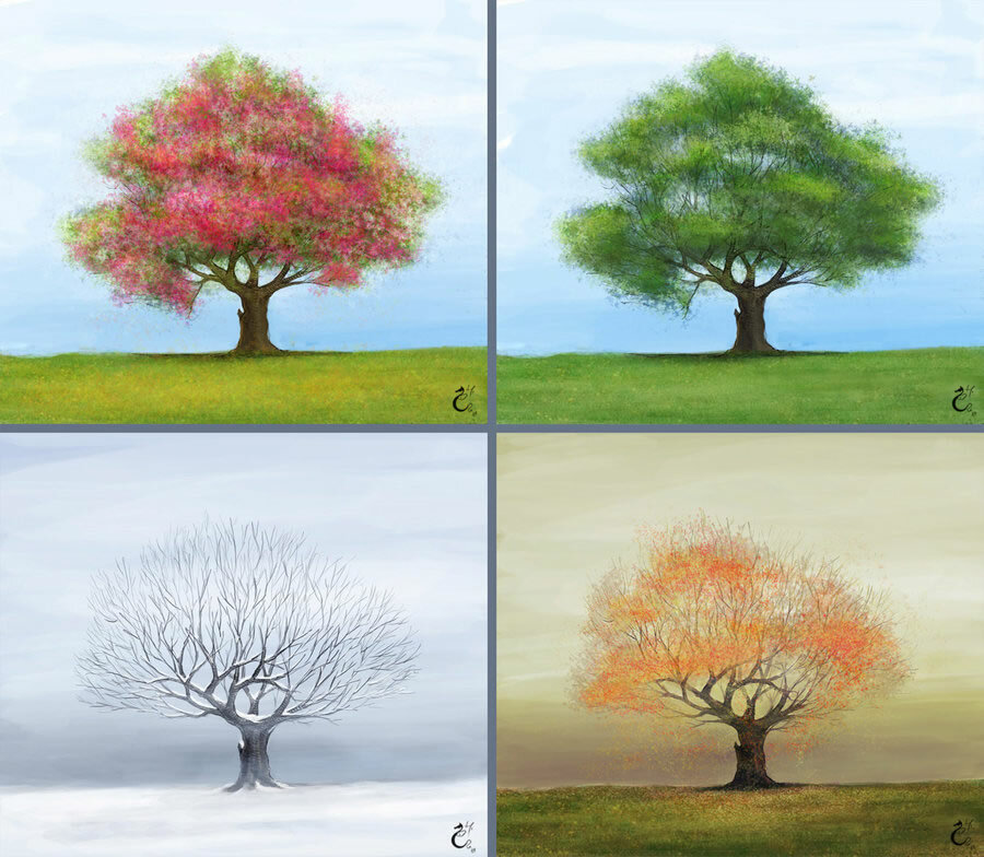 Времена года лето изменения в жизни растений. Дерево в разные времена года. Пейзаж по временам года. Дерево летом осенью зимой и весной. Дерево летом и осенью.