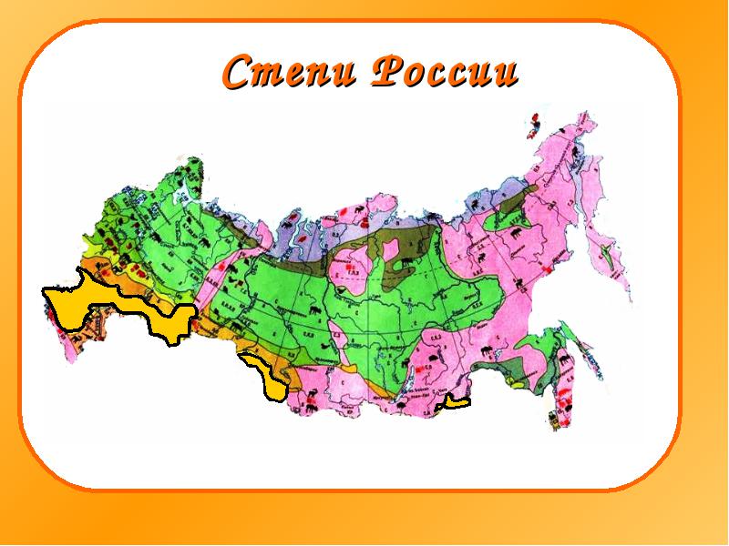 Тест окружающий мир 4 класс зона степей фото Shkola-2.ru