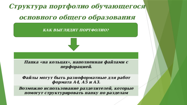 Структура портфолио обучающегося основного общего образования КАК ВЫГЛЯДИТ ПОРТФОЛИО? Папка «на кольцах», наполненная файлами с перфорацией. Файлы могут быть разноформатные для работ формата А4, А5 и А3.  Возможно использование разделителей, которые помогут структурировать папку по разделам 