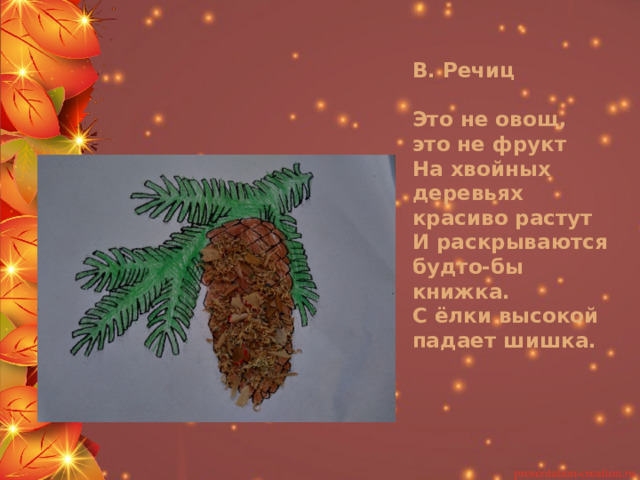 В. Речиц   Это не овощ, это не фрукт  На хвойных деревьях красиво растут  И раскрываются будто-бы книжка.  С ёлки высокой падает шишка. 