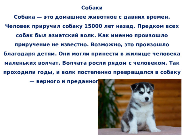 Я приручили пса бывшего