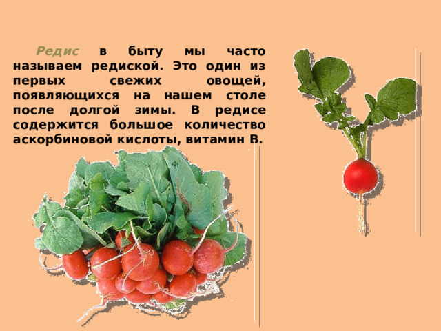 Почему нужно есть много овощей и фруктов технологическая карта урока 1 класс