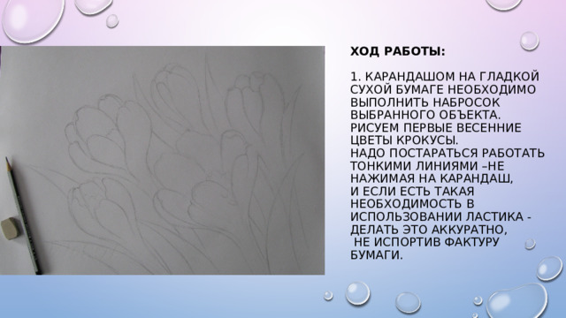 Ход работы:   1. Карандашом на гладкой сухой бумаге необходимо выполнить набросок выбранного объекта.  Рисуем первые весенние цветы крокусы.  Надо постараться работать тонкими линиями –не нажимая на карандаш,  и если есть такая необходимость в использовании ластика - делать это аккуратно,  не испортив фактуру бумаги.   