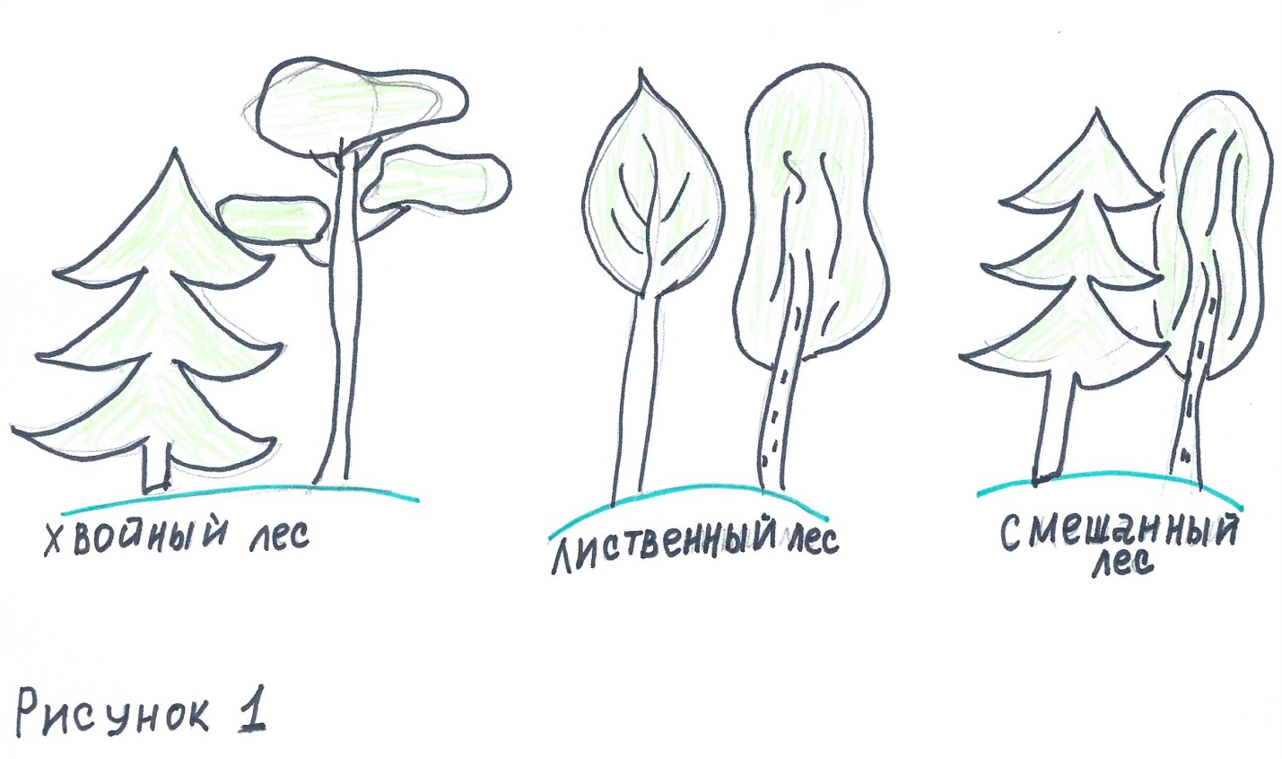 Нарисовать смешанный лес. Как нарисовать смешанный лес. Смешанный лес рисовать. Смешанный лес как можно нарисовать в 5 классе.