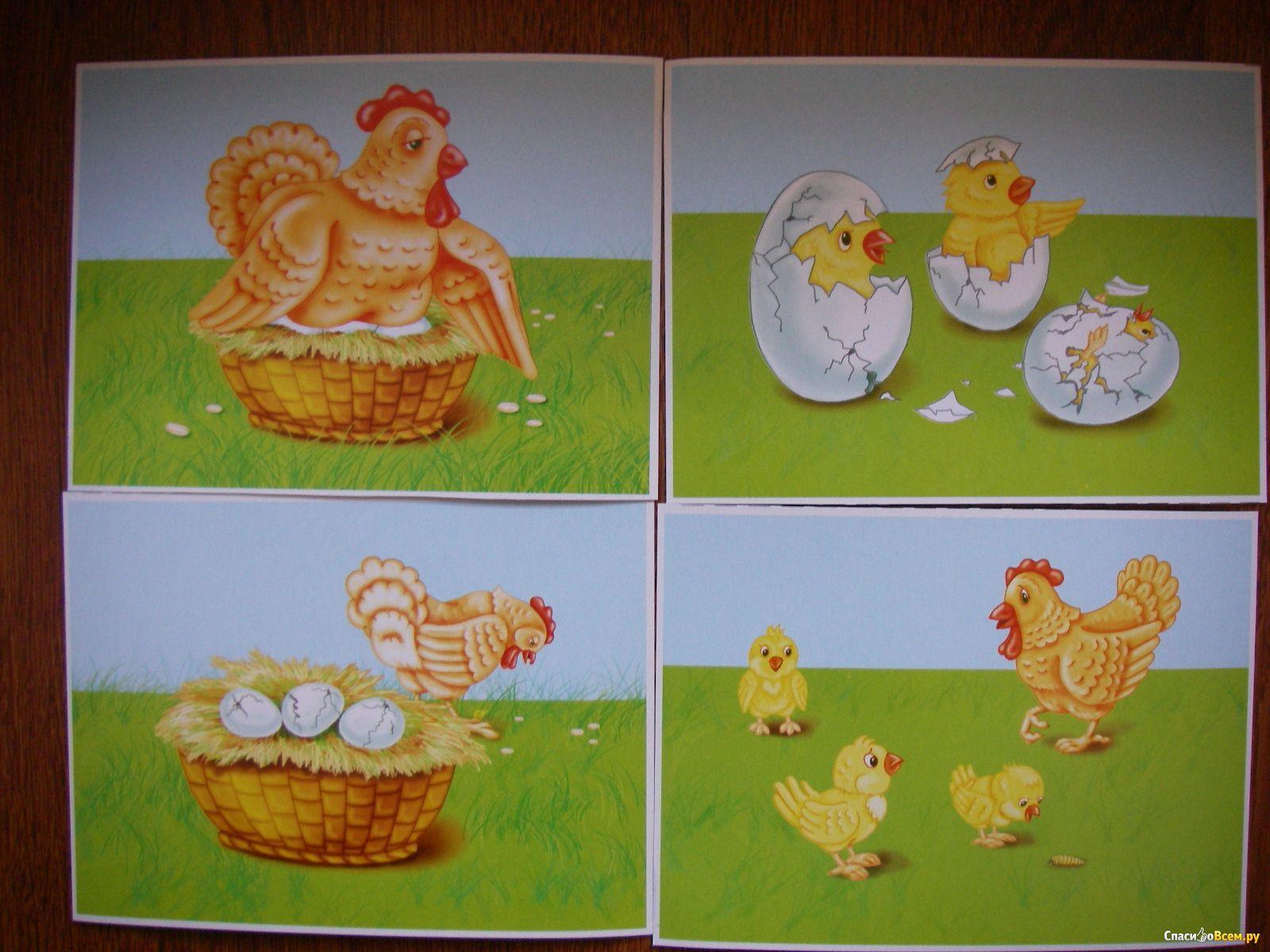 Карточка для дошкольников курица и цыпленок