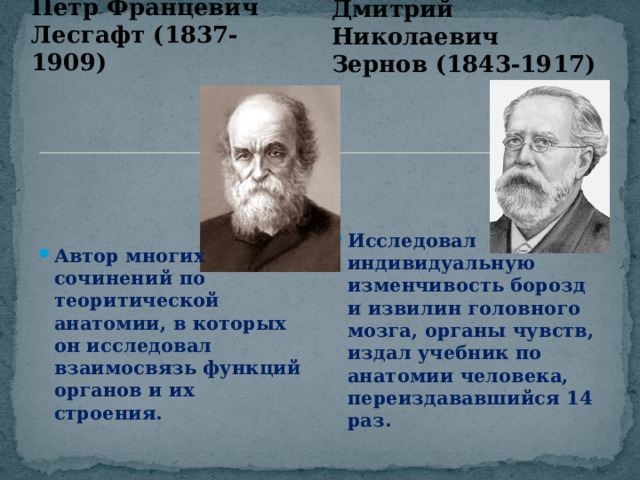 Николаевич зернов. Д Н Зернов. Лесгафт вклад в анатомию.