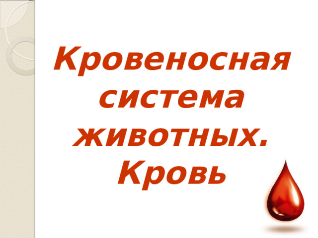 Кровеносная система животных. Кровь  