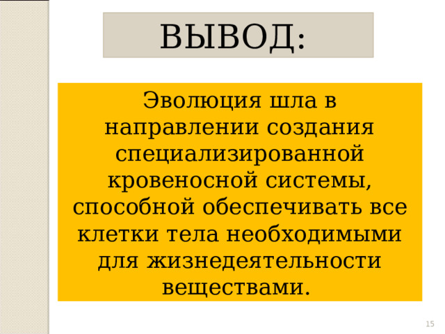 ВЫВОД: Эволюция шла в направлении создания специализированной кровеносной системы, способной обеспечивать все клетки тела необходимыми для жизнедеятельности веществами.  