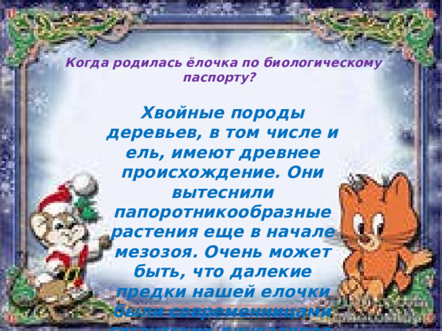   Когда родилась ёлочка по биологическому паспорту?   Хвойные породы деревьев, в том числе и ель, имеют древнее происхождение. Они вытеснили папоротникообразные растения еще в начале мезозоя. Очень может быть, что далекие предки нашей елочки были современницами гигантских динозавров. 