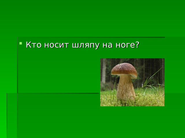 Кто носит шляпу на ноге? 