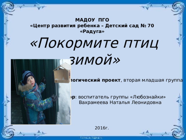 Проект покормите птиц зимой вторая младшая группа