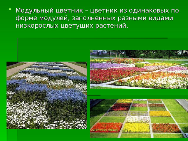 Модульный цветник – цветник из одинаковых по форме модулей, заполненных разными видами низкорослых цветущих растений. 