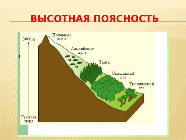 Схема высотной поясности большого кавказа