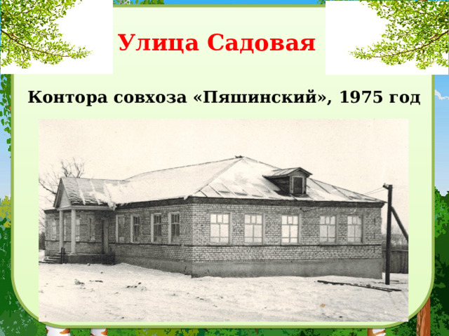 Улица Садовая  Контора совхоза «Пяшинский», 1975 год 