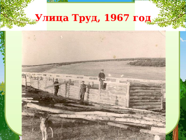 Улица Труд, 1967 год 