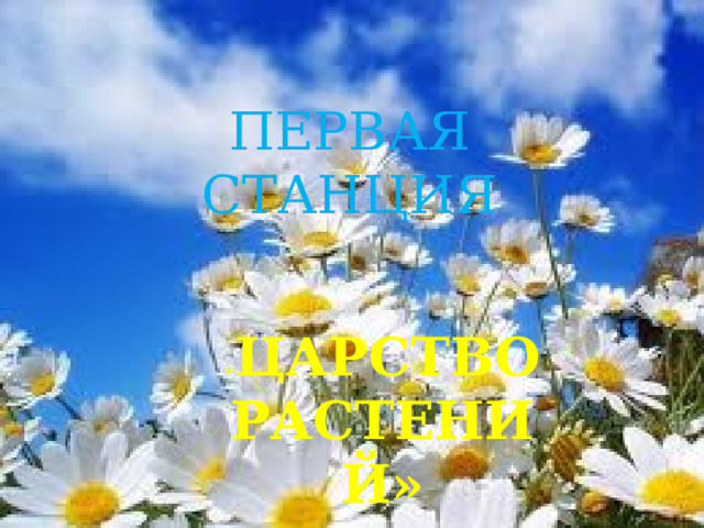 ПЕРВАЯ СТАНЦИЯ « ЦАРСТВО РАСТЕНИЙ» 