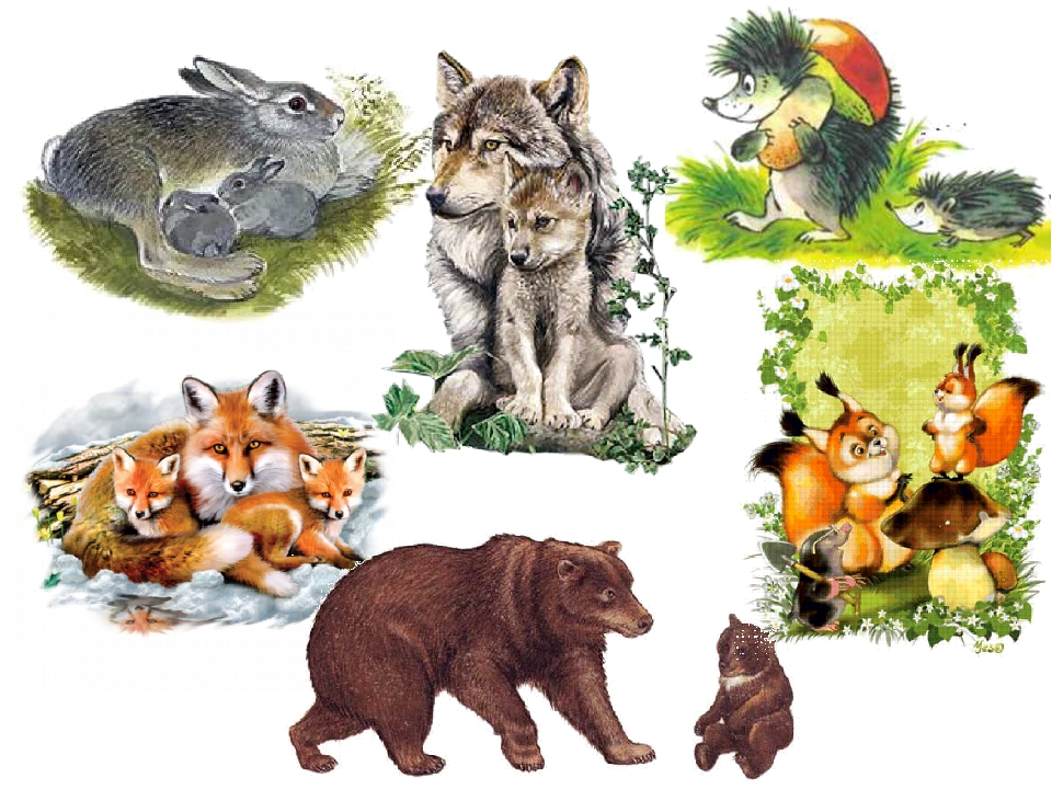 Дикие и домашние животные весной. Диких животных для детей. Дикие животные для детей. Лесные животные для детей. Лесные животные для дошкольников.