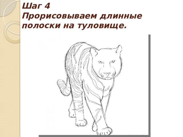 Шаг 4  Прорисовываем длинные полоски на туловище. 