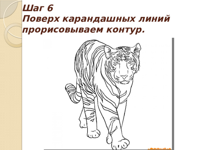 Шаг 6  Поверх карандашных линий прорисовываем контур. 