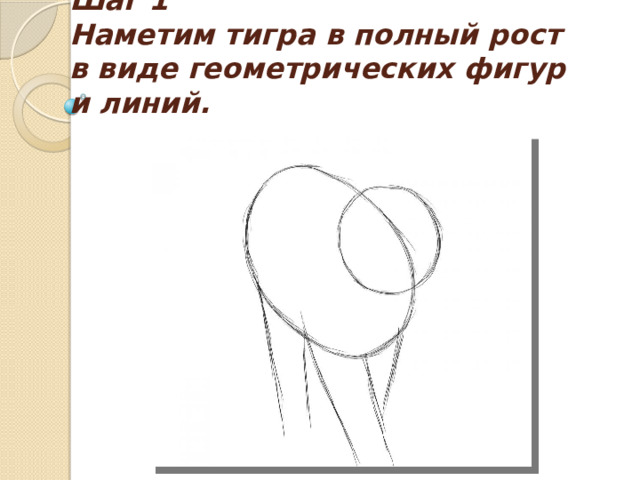 Шаг 1  Наметим тигра в полный рост в виде геометрических фигур и линий. 