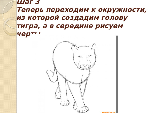 Шаг 3  Теперь переходим к окружности, из которой создадим голову тигра, а в середине рисуем черты. 