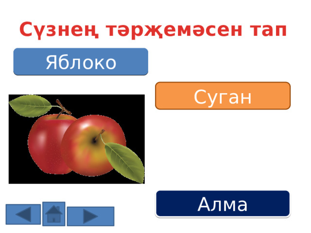 Сүзнең тәрҗемәсен тап Яблоко Суган Алма 