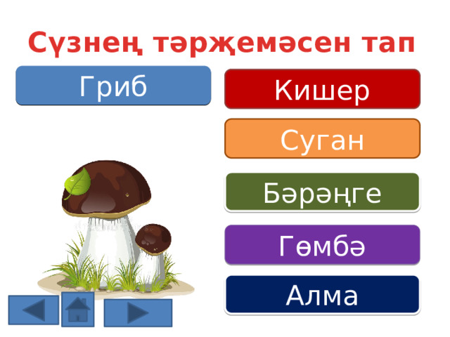 Сүзнең тәрҗемәсен тап Гриб Кишер Суган Бәрәңге Гөмбә Алма 