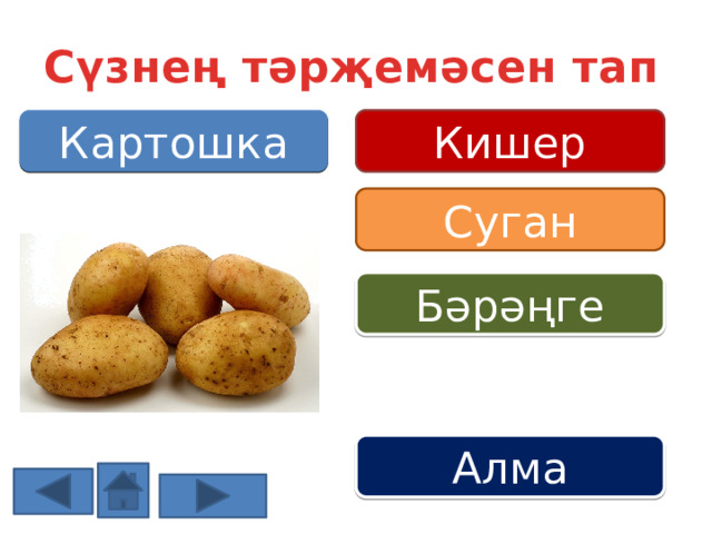 Сүзнең тәрҗемәсен тап Кишер Картошка Суган Бәрәңге Алма 