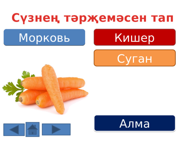 Сүзнең тәрҗемәсен тап Кишер Морковь Суган Алма 