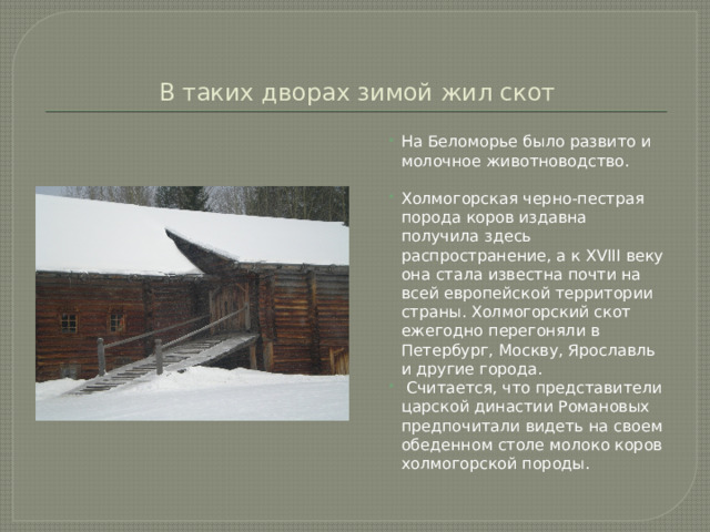 В таких дворах зимой жил скот На Беломорье было развито и молочное животноводство. Холмогорская черно-пестрая порода коров издавна получила здесь распространение, а к ХVIII веку она стала известна почти на всей европейской территории страны. Холмогорский скот ежегодно перегоняли в Петербург, Москву, Ярославль и другие города.  Считается, что представители царской династии Романовых предпочитали видеть на своем обеденном столе молоко коров холмогорской породы. 