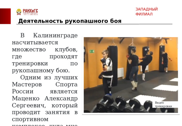 ������ ������: ����.