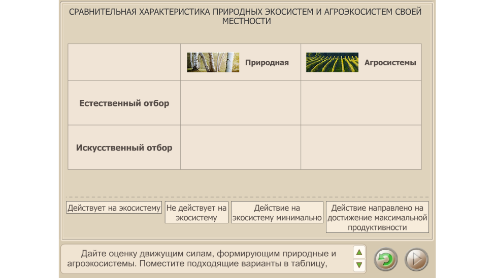 Сравнительное описание естественных природных систем и агроэкосистемы презентация