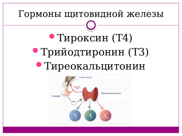 Гормоны щитовидной железы Тироксин (Т4) Трийодтиронин (Т3) Тиреокальцитонин  