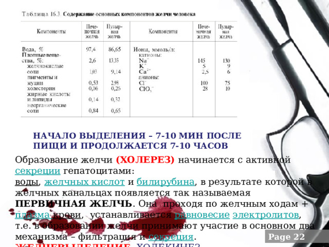 НАЧАЛО ВЫДЕЛЕНИЯ – 7-10 МИН ПОСЛЕ ПИЩИ И ПРОДОЛЖАЕТСЯ 7-10 ЧАСОВ Образование желчи (ХОЛЕРЕЗ) начинается с активной  секреции  гепатоцитами: воды ,  желчных кислот  и  билирубина , в результате которой в желчных канальцах появляется так называемая первичная желчь . Она проходя по желчным ходам + плазма крови ,  устанавливается  равновесие   электролитов , т.е. в образовании желчи принимают участие в основном два механизма – фильтрация и  секреция . ЖЕЛЧЕВЫДЕЛЕНИЕ - ХОЛЕКИНЕЗ 