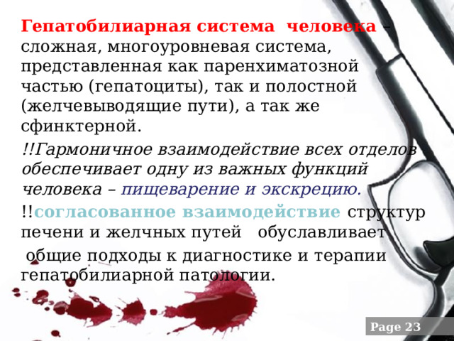 Гепатобилиарная система  человека – сложная, многоуровневая система, представленная как паренхиматозной частью (гепатоциты), так и полостной (желчевыводящие пути), а так же сфинктерной. !!Гармоничное взаимодействие всех отделов  обеспечивает одну из важных функций человека – пищеварение и экскрецию. !! согласованное взаимодействие структур печени и желчных путей   обуславливает   общие подходы к диагностике и терапии гепатобилиарной патологии. 