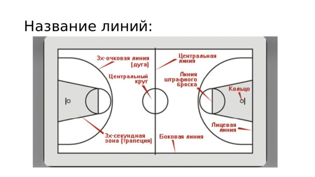 Название линий: 