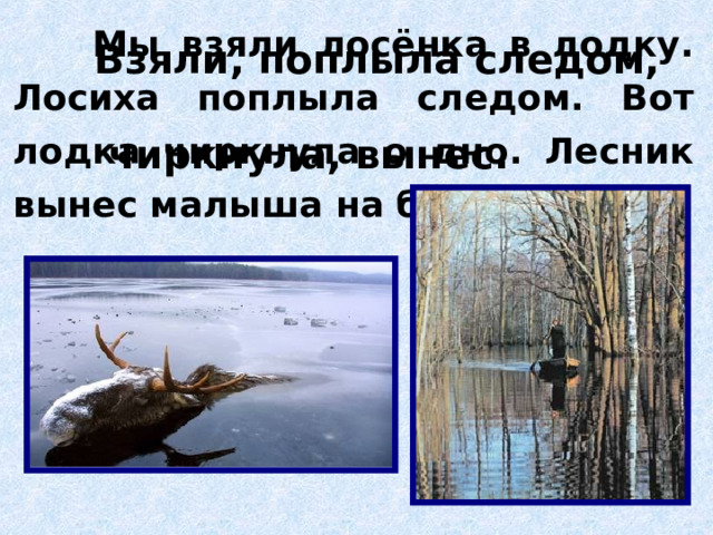  Мы взяли лосёнка в лодку. Лосиха поплыла следом. Вот лодка чиркнула о дно. Лесник вынес малыша на берег. Взяли, поплыла следом,   чиркнула, вынес. 