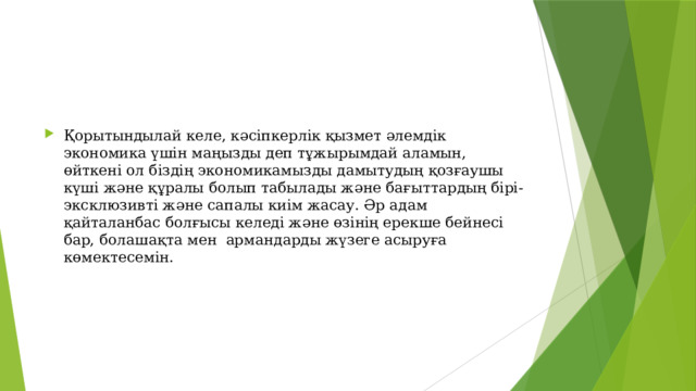 Қорытындылай келе, кәсіпкерлік қызмет әлемдік экономика үшін маңызды деп тұжырымдай аламын, өйткені ол біздің экономикамызды дамытудың қозғаушы күші және құралы болып табылады және бағыттардың бірі-эксклюзивті және сапалы киім жасау. Әр адам қайталанбас болғысы келеді және өзінің ерекше бейнесі бар, болашақта мен армандарды жүзеге асыруға көмектесемін. 