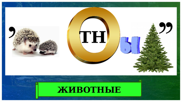 ТН ЖИВОТНЫЕ 