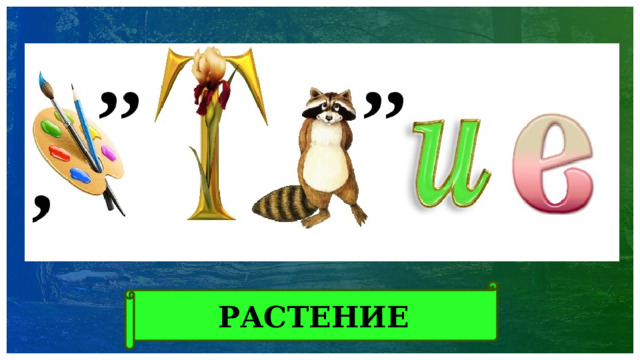 РАСТЕНИЕ 