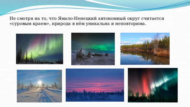 Не смотря на то, что Ямало-Ненецкий автономный округ считается «суровым краем», природа в нём уникальна и неповторима. 