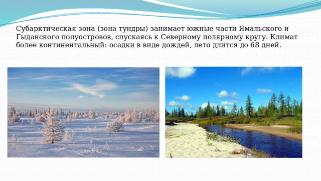 Субарктическая зона (зона тундры) занимает южные части Ямальского и Гыданского полуостровов, спускаясь к Северному полярному кругу. Климат более континентальный: осадки в виде дождей, лето длится до 68 дней. 