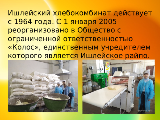 Ишлейский хлебокомбинат действует с 1964 года. С 1 января 2005 реорганизовано в Общество с ограниченной ответственностью «Колос», единственным учредителем которого является Ишлейское райпо. 