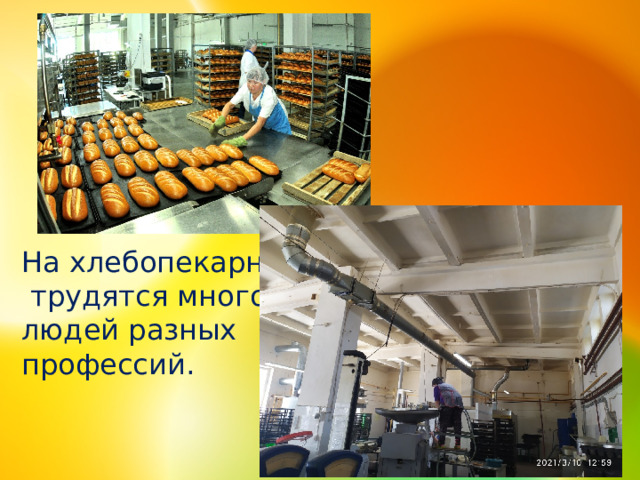 На хлебопекарне  трудятся много людей разных профессий. 