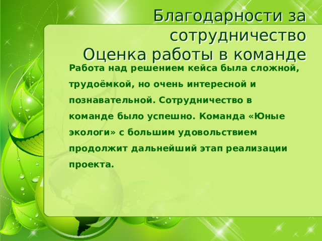 Благодарности за сотрудничество Оценка работы в команде Работа над решением кейса была сложной, трудоёмкой, но очень интересной и познавательной. Сотрудничество в команде было успешно. Команда «Юные экологи» с большим удовольствием продолжит дальнейший этап реализации проекта. 