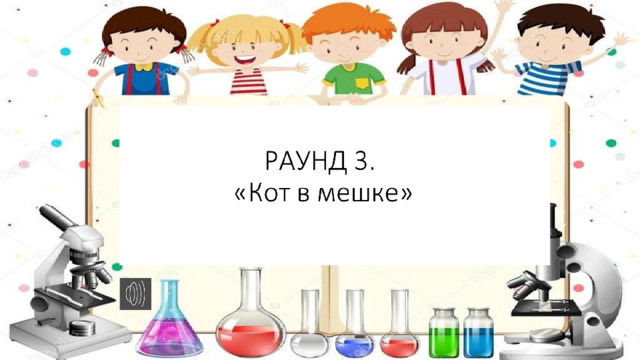 РАУНД 3. «Кот в мешке» 