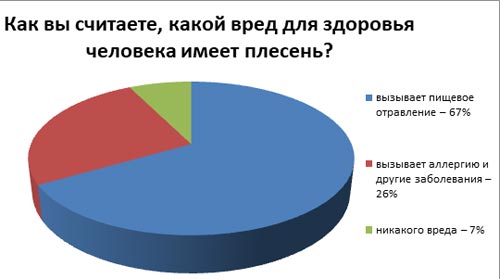 Низкая температура сырость и плесень на стенах в помещении факторы развития заболеваний