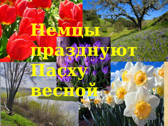 Немцы празднуют Пасху весной 
